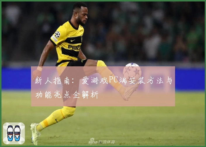 新人指南：爱游戏PC端安装方法与功能亮点全解析