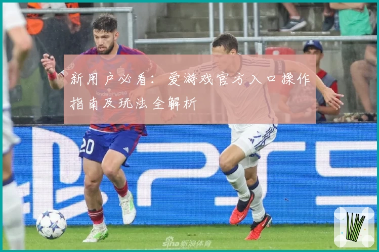 新用户必看：爱游戏官方入口操作指南及玩法全解析
