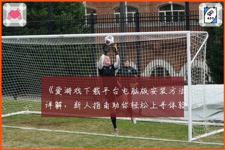 《爱游戏下载平台电脑版安装方法详解,新人指南助你轻松上手体验》